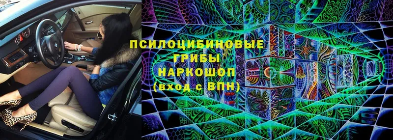 Галлюциногенные грибы Magic Shrooms  Серов 